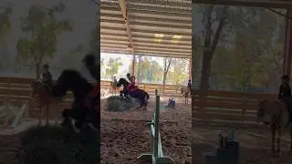 No hands AND stirrupless