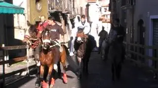 Festività di Sant'Antonio Abate - Pignola PZ