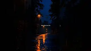 Barbaad 💔 | This song breaks me every time