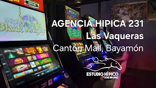 ESTUDIO HIPICO - Sábado 31 De Enero De 2026