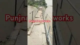 IRSA Team visit Punjnad headworks Canal's Running fully Supply #flood #irrigation