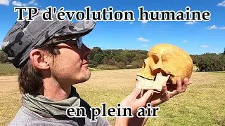 Les preuves de l'&eacute;volution humaine