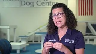 Get Certified&mdash;Penn Vet Working Dog Practitioner Program