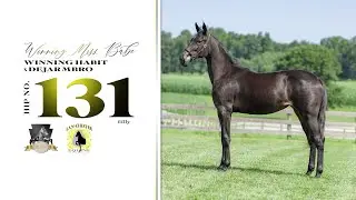 # 131 Winning Habit- Dejarmbro- Tom Ridge ( filly @ECSYS