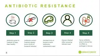 Pharmaceutical and veterinary residues podcast