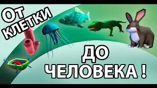 Симулятор бесконечной эволюции !