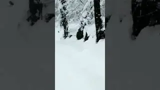 gypsy snow off-road #status #cold #snow #shimla # jubbal # pahar #gypsy #kali gypsy #fun #shorts
