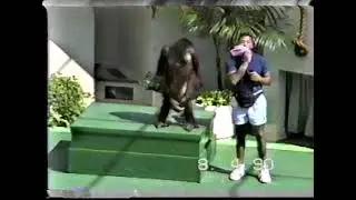 8/4/1990  Universal Studios LA, Easter, cub scouts, karate, Christmas, Heather's preschool