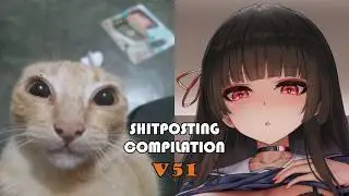 Shitposting Compilation V51