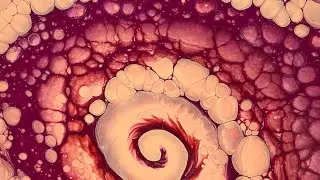 (546) Spiral Straight Pour w/ #TLP Boulder Cells No Silicone -  Acrylic Paint Pouring - Fluid Art