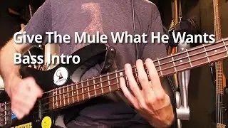 Give The Mule What He Wants - Bass Intro Tutorial