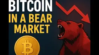Bitcoin Bear Market Confirmed (Don't Catch a Falling Knife)