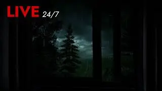 🔴 Rain Sounds for Sleeping with an Open Window Experience  - 24/7 Livestream | Deep Sleep Sounds