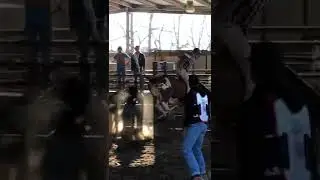 The Search - Bull Riding Edit