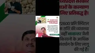 मध्यप्रदेश|₹2600 प्रति क्विंटल गेहूं मूल्य|बोनस राशि|व्यवस्था|किसानों के लिए