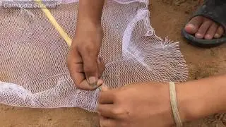 Primitive Technology: Awesome Quick Bird Trap