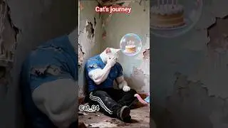 &ldquo;Papa ke Birthday ke liye Cat ne kya kiya 🥹🎂💖&rdquo; #aicat #trending #emotionalshorts  #youtube