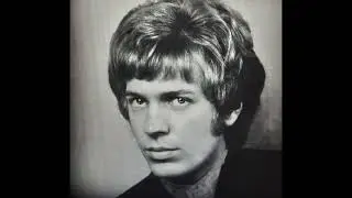 Scott Walker - Through A Long And Sleepless Night