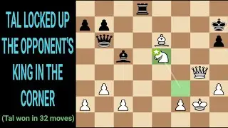 Mikhail tal vs Lajos portisch 1965 - Candidates Quarter Final Tournament. Bled, Slovenia