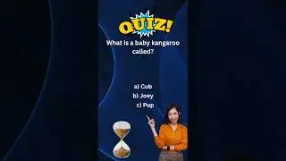 🧠 Quiz Spectacle: 3 Rounds of Brainy Entertainment! 🎬 #QuizTime  #BrainTeasers #ChallengeAccepted