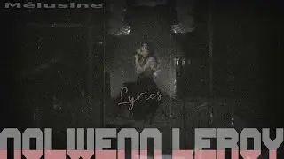 Nolwenn Leroy Lyrics - 