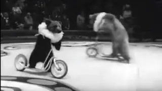 1975 El Circo de Moscú - Domador de osos Valentin Filatov - Osos amaestrados The Moscow Circus