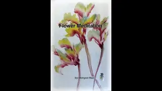 Bloom in 47