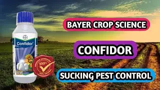 Confidor insecticide | Bayer confidor insecticide | Thrips control insecticide