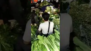 Hari ini harga sawi hijau di pasar induk Kramat jati Jakarta Timur sudah mulai naik jadi Rp.5000 kg