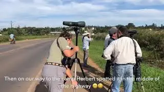 Uganda Birding and Wildlife Tour with the Bird Uganda Safaris