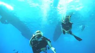 Trilogy Maui Sailing - What is Snuba