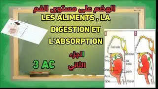La digestion de l'amidon dans la bouche 3AC  تفرج تفهم