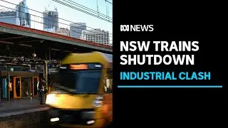 How did the rail union and the government respond to the NSW trains shutdown? | ABC News