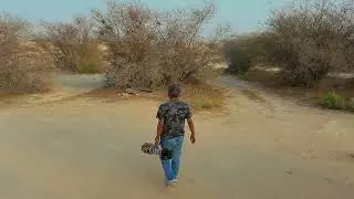 Qatar Birding - 2025 Summer