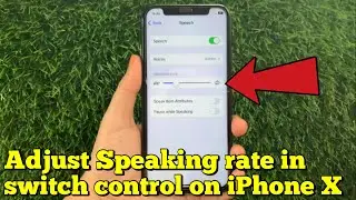 How to adjust speaking rate in switch control on iPhone X