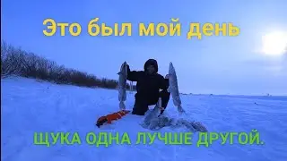 Бешеный клёв крупной щуки.Одна лучше другой.