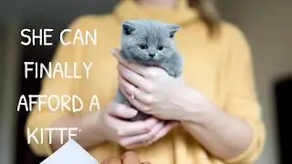 😻 😻 AFFORD MORE KITTENS  💳  Zero%  -  No Fee Credit Card Processing By VENDFREE&copy; -
