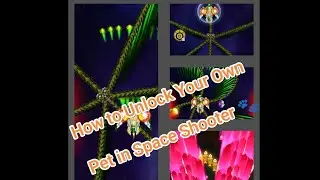 🐾 **How to Get Your Own Pet in Space Shooter