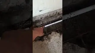 instalasi pipa anti rayap