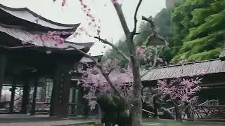 Ouyang Feng ( Racun Barat ) vs Zhou Botong ( Bocah Tua Nakal )