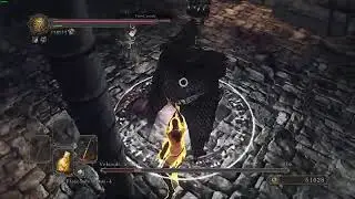 DARK SOULS 2 - DANDO PARRY NO VELSTAD, THE ROYAL AEGIS.