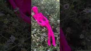 Pink Skeleton 🩷🩻💐#pink #skeleton #flowers #coolstory #pinkskelly #intheflowers #pinkflower