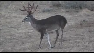 Low Fence Monster Buck Progression Video