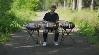 THE WISP SINGS  | Handpan cover | Pavel Sedlacek | 4K