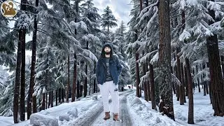 Exploring the Enchanting Beauty of Kalam Valley and Usho Forest | Swat's Snow Mountain Wonderland