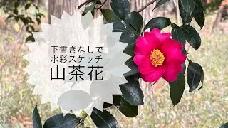 お天気がいいのでお外で山茶花を描きます♪