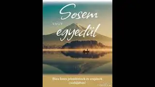Radics Melitta - Sosem vagy egyed&uuml;l (G&aacute;sp&aacute;r Laci)