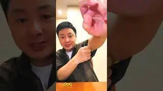 Mind-Bending Magic Acts | Astonishing Illusions | Magical Mysteries Unveiled 🪄✨📹