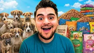 Don&eacute; una MEDIA TONELA pero esto es lo que realmente importa