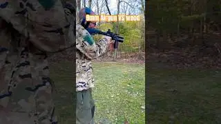 Bintac T9 9mm airgun VS wood